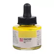 Talens Pantone pigmentbläck fyllflaskor 30 ml - Tusch - 014500100 - 1