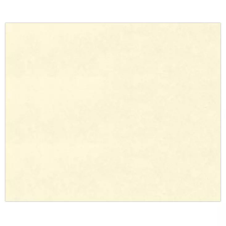 PERG.PAP.110G 50X70,VALK. - Paperit ja lehtiöt - 329743200 - 1