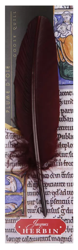 GÅSFJÄDERPENNA HERBIN - Kalligrafi - 005105701 - 1