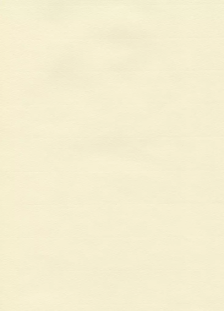 PARIISINPAPERI VALKOINEN - Paperit ja lehtiöt - 006710100 - 1