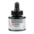 PANTONE INK 30ml Warm Gray 6 - Tusch - 014509922 - 1