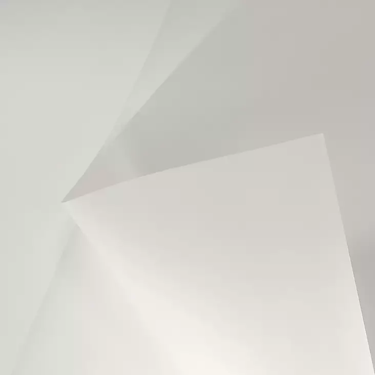 ELÄVÄNMALLINPAPERI 90g 100ark - Piirustuspaperi irtoarkit - 018500652 - 1