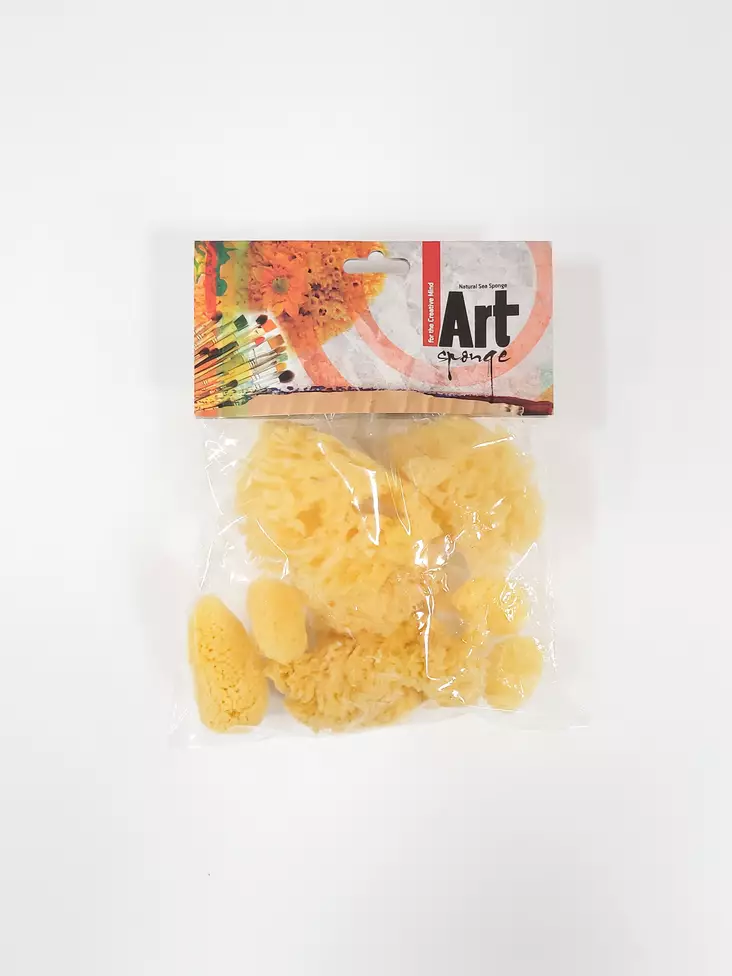 SVAMPSET, 7 OLIKA - Svamp - 007150002 - 1