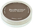 PANPASTEL RAW UMBER SHADE - Kynät, tussikynät, liidut, hiilet - 004207803 - 1