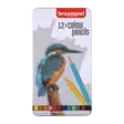 BRUYNZEEL COLOUR PENCIL BIRD 12 SET - Värikynät - 031800004 - 1