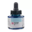 PANTONE INK 30ml 304 - Tusch - 014500304 - 1