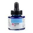 PANTONE INK 30ml 2985 - Tusch - 014502985 - 1
