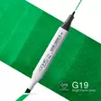 COPIC CLASSIC G-19 - Copic Classic - 027000226 - 1