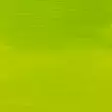 AAC 250ML YLWISH GREEN - Färger och målningsmaterial - 003166617 - 2