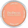 PANP.UUSI BURNT SIENNA LIGHT - Kynät, tussikynät, liidut, hiilet - 004207407 - 1