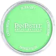 PANP.UUSI PERMANENT GREEN LIGHT - Kynät, tussikynät, liidut, hiilet - 004206407 - 1