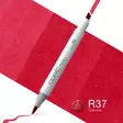 COPIC CIAO R-37 - Copic Ciao - 027020608 - 1