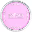 PANP.UUSI CRIMSON TINT - Kynät, tussikynät, liidut, hiilet - 004203508 - 1