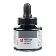PANTONE INK 30ml Cool Gray 9 - Tusch - 014509918 - 1